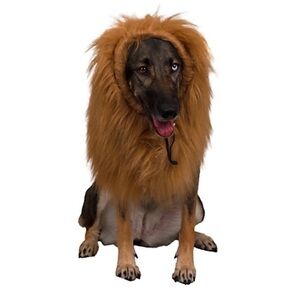 NWT - Lion Mane Pet Costume (M/L)